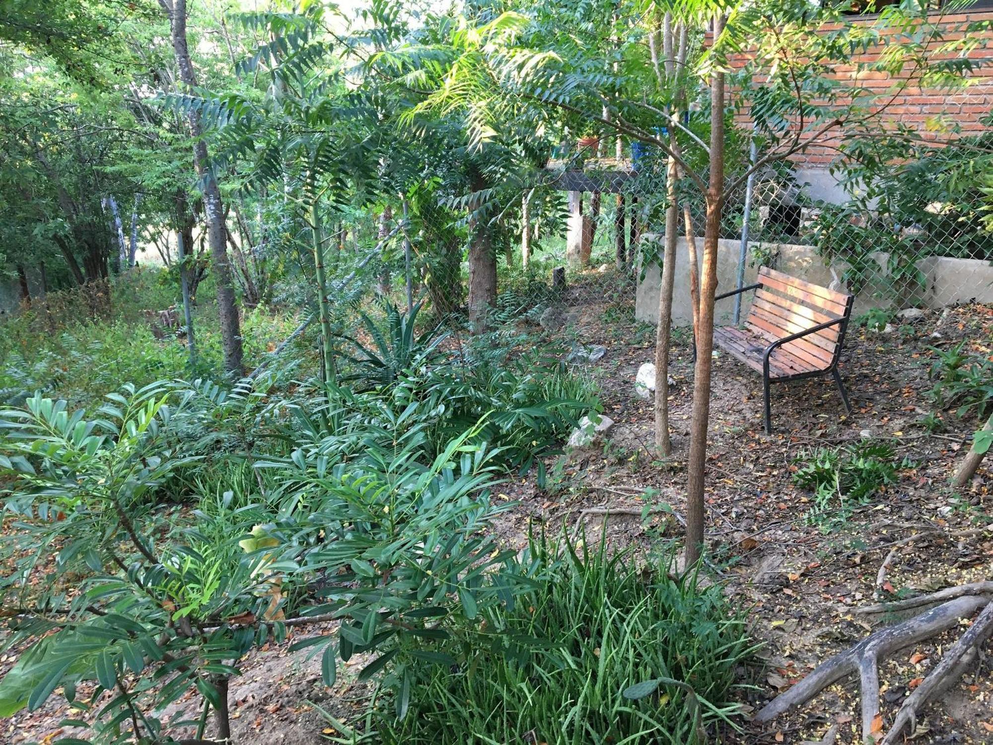 Centro Sati Bungalow Cuatunalco المظهر الخارجي الصورة