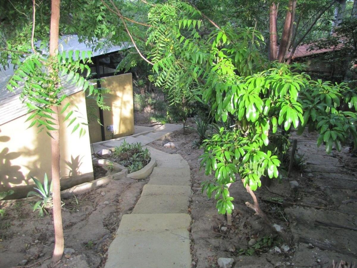 Centro Sati Bungalow Cuatunalco المظهر الخارجي الصورة